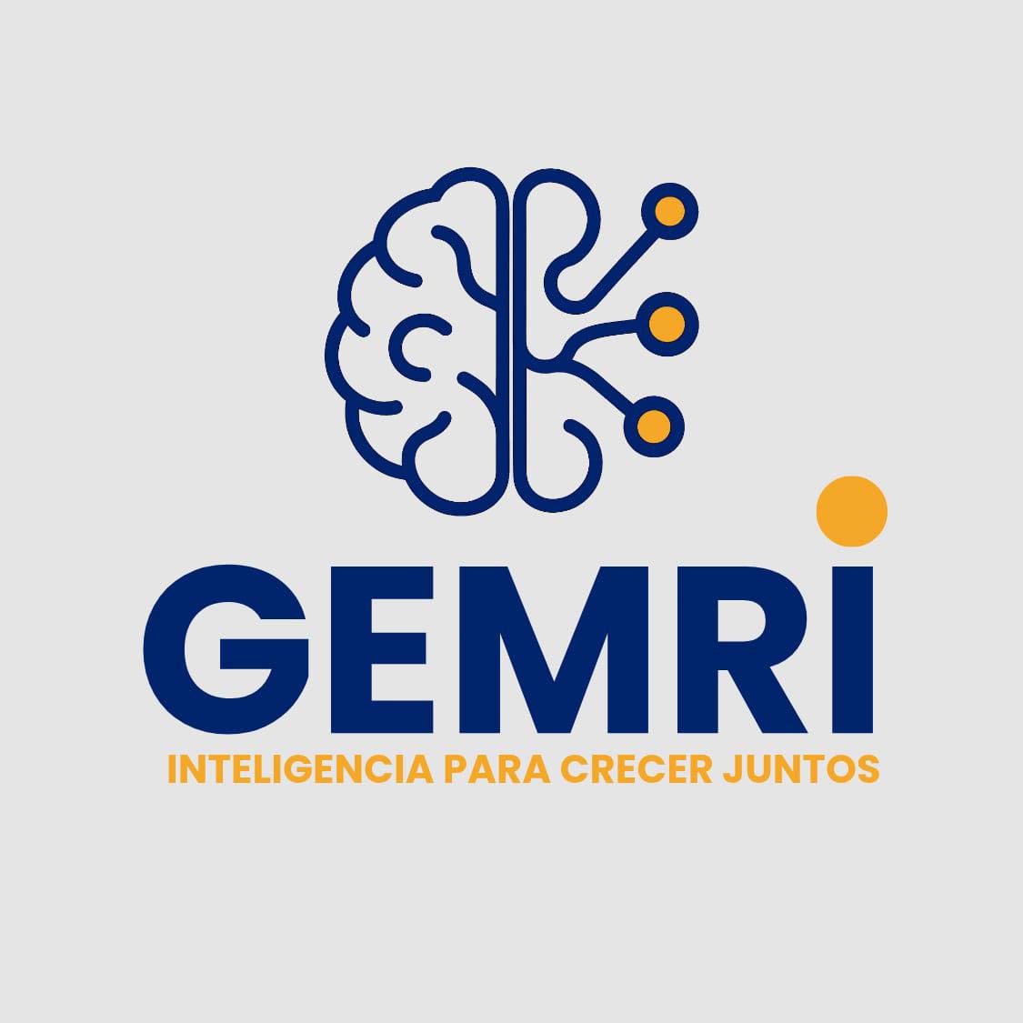 GEMRI - Inteligencia para crecer juntos